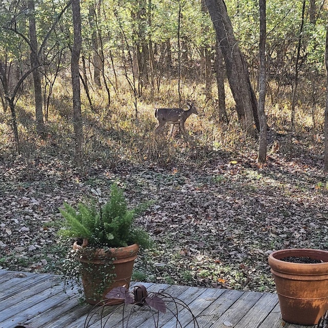 556 Lakeshore Dr, Old Hickory, TN 37138 - view of deck