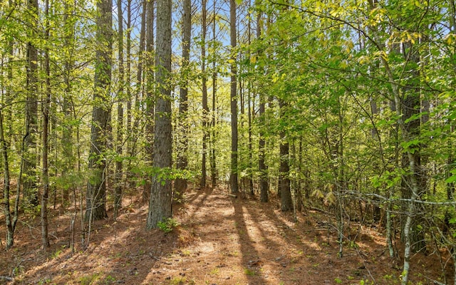 0 Clouse Hill Rd, Tracy City, TN 37387