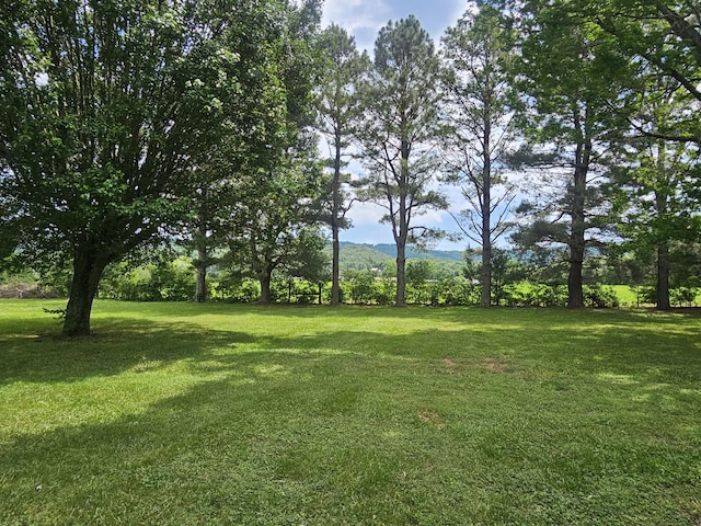 101 Farris Rd, Winchester, TN 37398 - photo 55