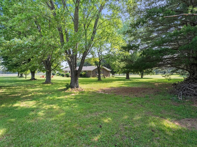101 Farris Rd, Winchester, TN 37398 - photo 51