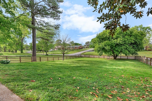209 Woods Dr, Columbia, TN 38401 - view of yard