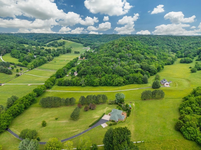 15480 Columbia Hwy, Lynnville, TN 38472 - photo 44