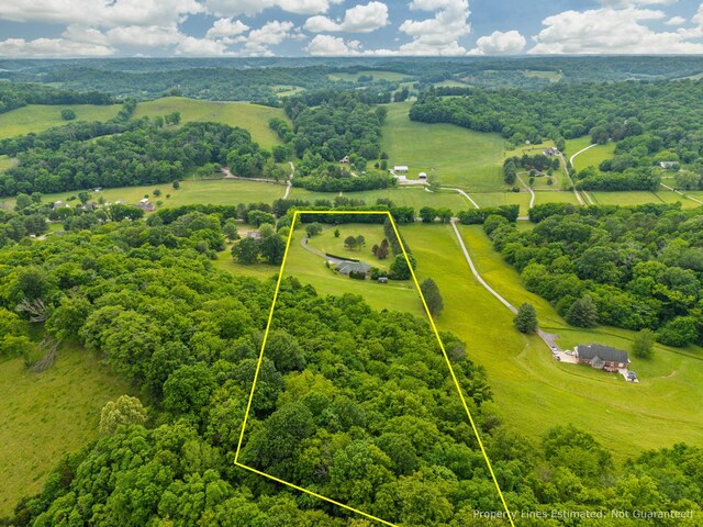 15480 Columbia Hwy, Lynnville, TN 38472 - photo 47