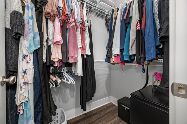 1130 Ferrells Loop Rd, Beechgrove, TN 37018 - walk in closet with wood finished floors