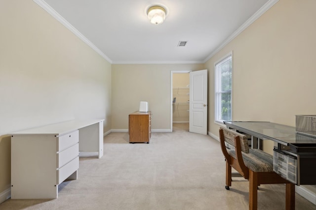 2305 Black Fox Ct, Murfreesboro, TN 37127 - office featuring crown molding, baseboards, and light colored carpet