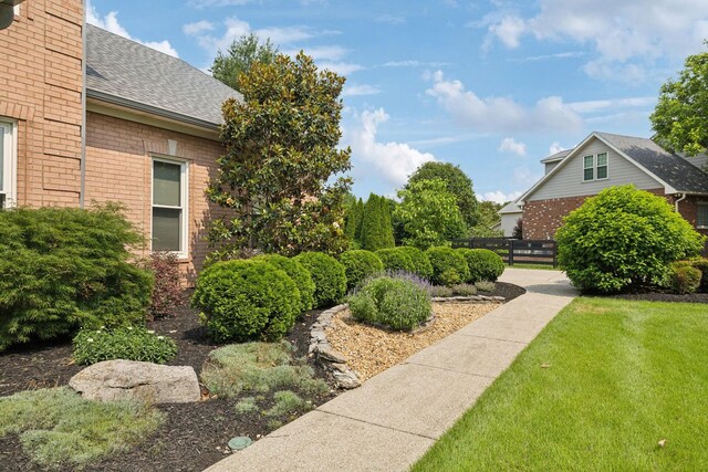 2305 Black Fox Ct, Murfreesboro, TN 37127 - view of green lawn