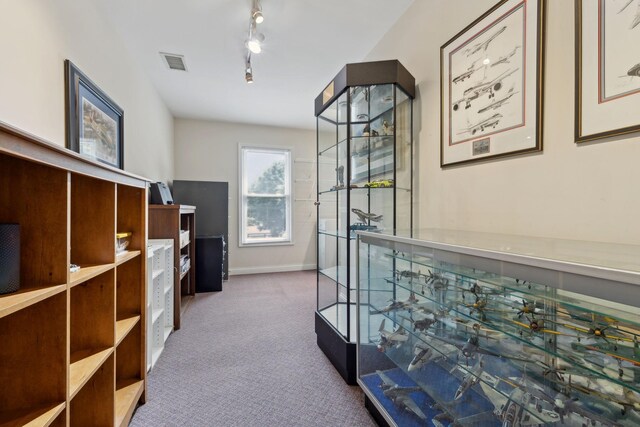 2305 Black Fox Ct, Murfreesboro, TN 37127 - hallway featuring carpet, baseboards, and track lighting