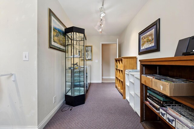 2305 Black Fox Ct, Murfreesboro, TN 37127 - hall featuring dark colored carpet, baseboards, and track lighting