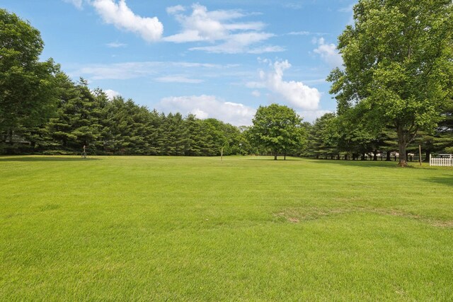 2305 Black Fox Ct, Murfreesboro, TN 37127 - view of grassy yard
