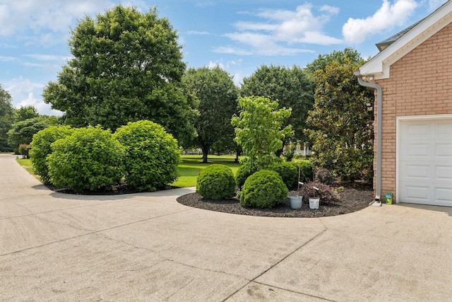 2305 Black Fox Ct, Murfreesboro, TN 37127 - view of yard featuring view of scattered trees
