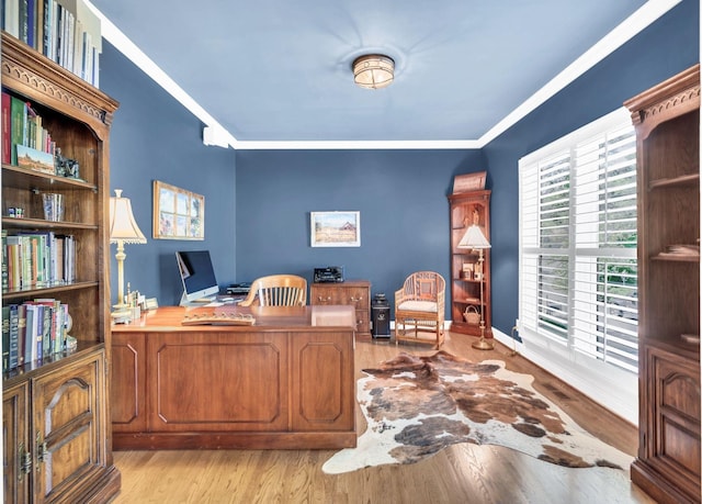 113 Abbeywood Dr, Nashville, TN 37215 - office with crown molding, wood finished floors, and baseboards
