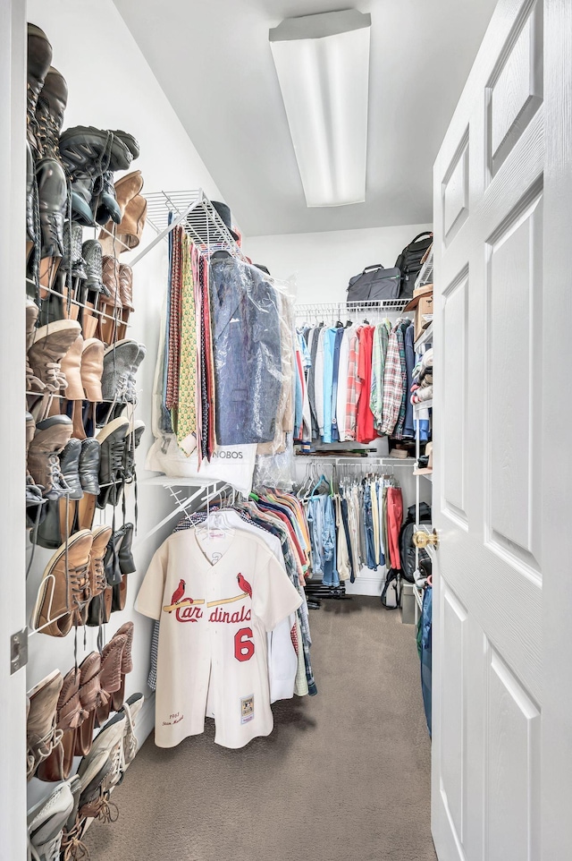 113 Abbeywood Dr, Nashville, TN 37215 - walk in closet featuring carpet floors