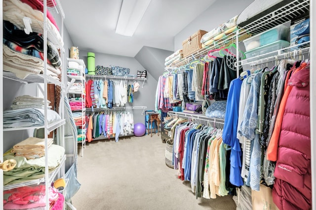113 Abbeywood Dr, Nashville, TN 37215 - spacious closet featuring carpet floors