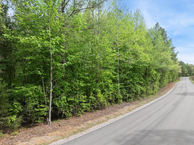 0 Curtis Hill Church Rd, Bethel Springs, TN 38315