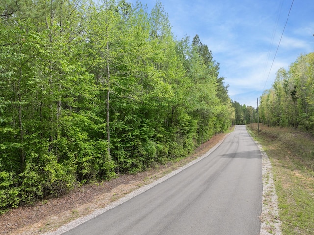 0 Curtis Hill Church Rd, Bethel Springs, TN 38315