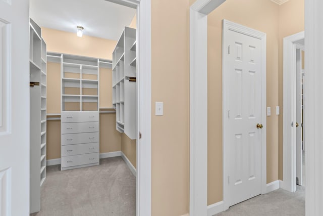 55 Revere Park, Nashville, TN 37205 - spacious closet with carpet
