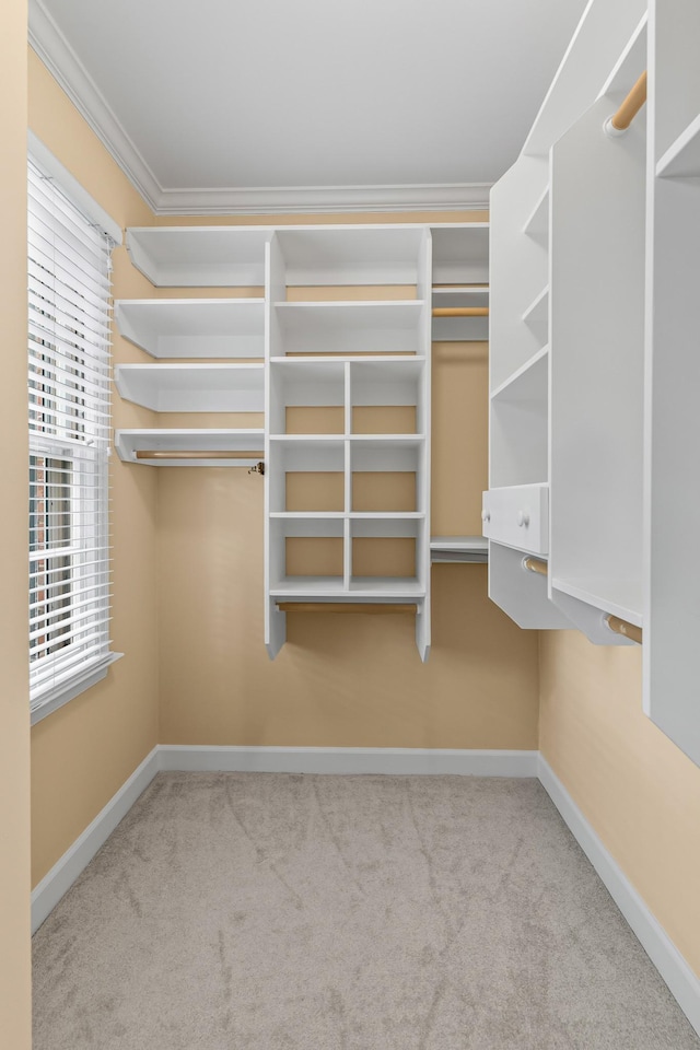 55 Revere Park, Nashville, TN 37205 - spacious closet featuring carpet flooring