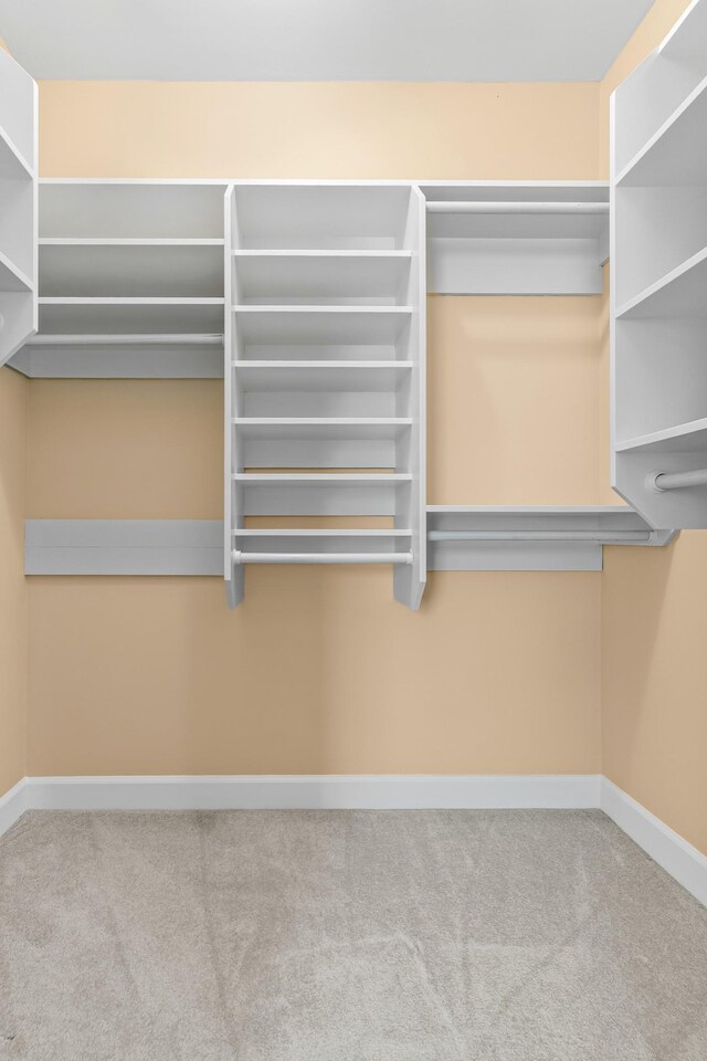 55 Revere Park, Nashville, TN 37205 - spacious closet featuring radiator and carpet