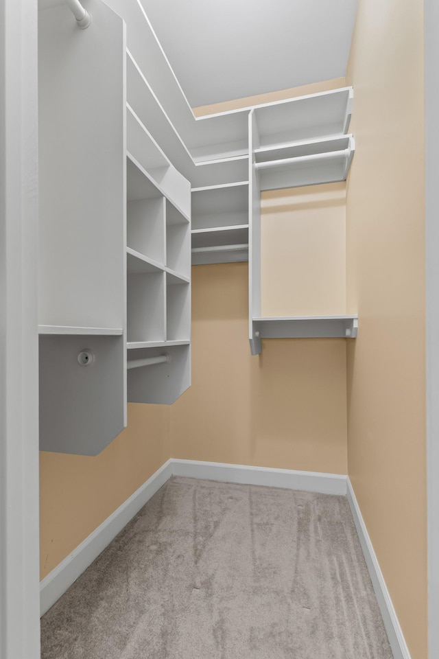 55 Revere Park, Nashville, TN 37205 - spacious closet with carpet floors