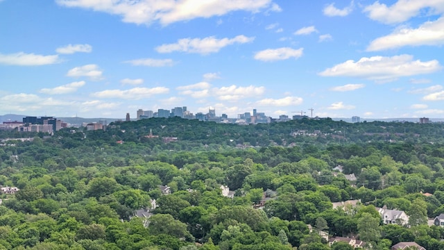 55 Revere Park, Nashville, TN 37205 - view of urban area with a forest
