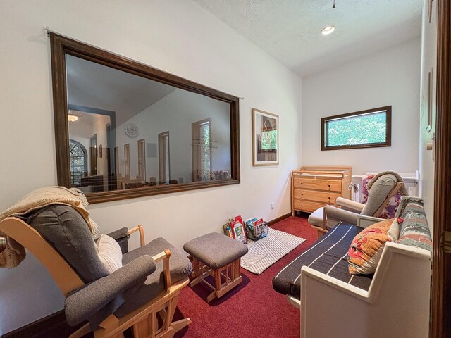 110 Hankins Rd, Hohenwald, TN 38462 - sitting room with carpet and baseboards