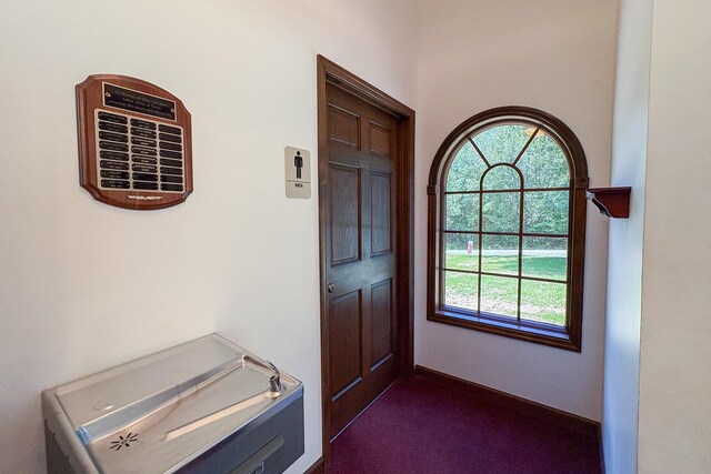 110 Hankins Rd, Hohenwald, TN 38462 - entrance foyer with plenty of natural light, dark carpet, and baseboards