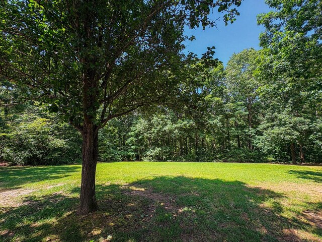 110 Hankins Rd, Hohenwald, TN 38462 - view of green lawn with a forest view