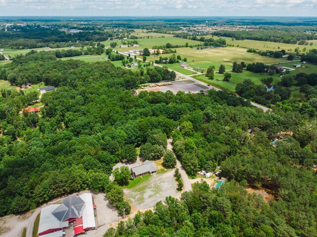 110 Hankins Rd, Hohenwald, TN 38462 - aerial view of a forest