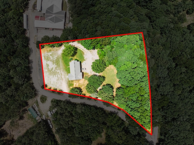 110 Hankins Rd, Hohenwald, TN 38462 - aerial view of property's location with a heavily wooded area and property boundaries highlighted