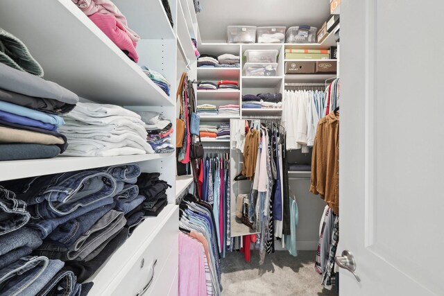 3706 Bonnie Blue Ct, Rockvale, TN 37153 - spacious closet with carpet flooring