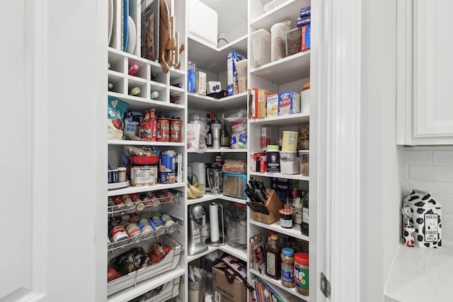 3706 Bonnie Blue Ct, Rockvale, TN 37153 - view of pantry