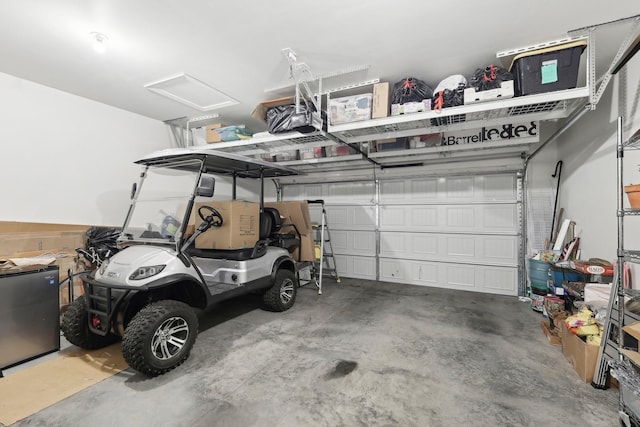 3706 Bonnie Blue Ct, Rockvale, TN 37153 - view of garage