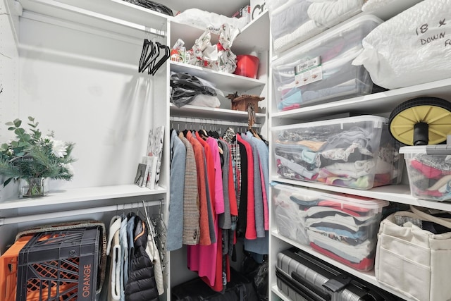 3706 Bonnie Blue Ct, Rockvale, TN 37153 - view of spacious closet