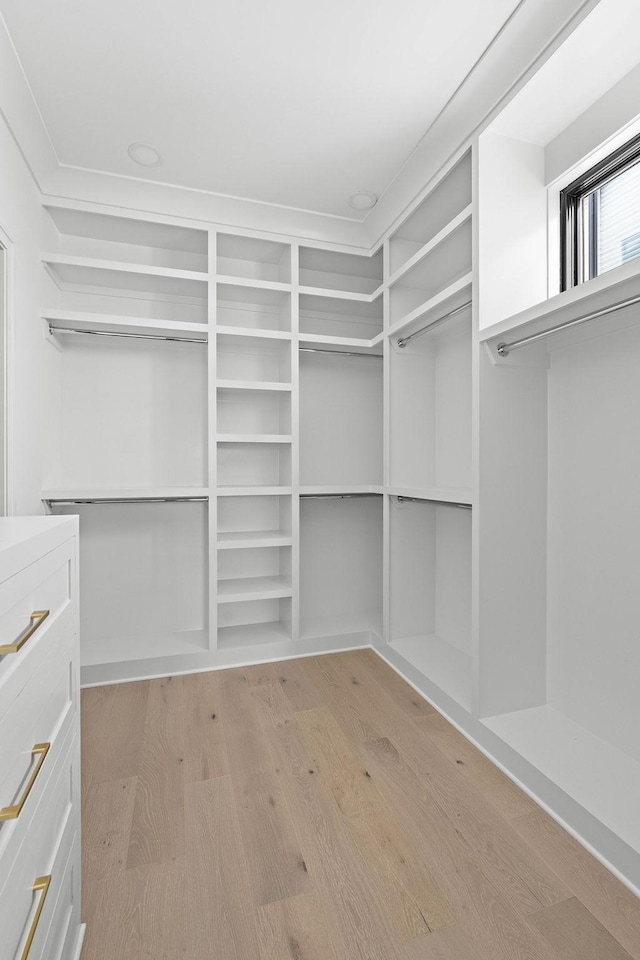 219 Chamberlin St, Nashville, TN 37209 - walk in closet featuring light wood-type flooring
