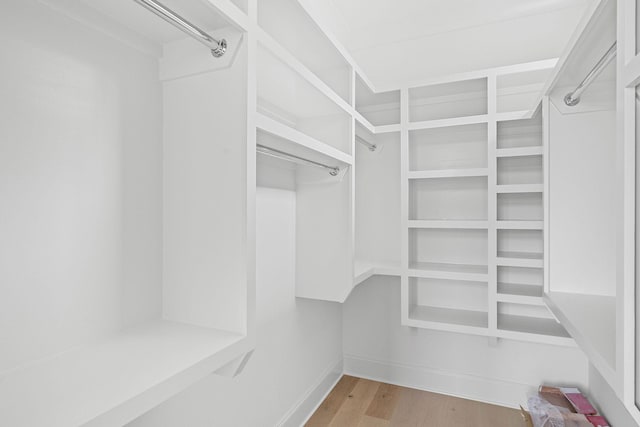 219 Chamberlin St, Nashville, TN 37209 - spacious closet featuring light wood-style floors
