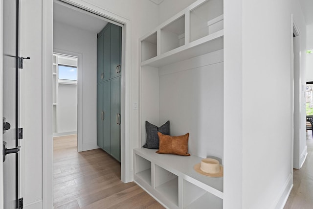 219 Chamberlin St, Nashville, TN 37209 - mudroom with light wood-style flooring, plenty of natural light, and baseboards