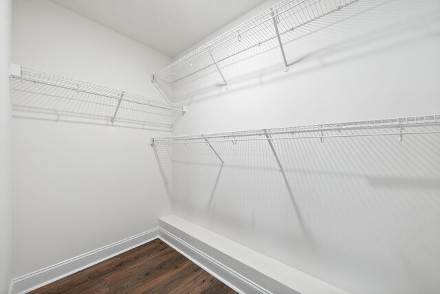 1021 Charles Thomas Dr, Clarksville, TN 37042 - spacious closet with dark wood-type flooring