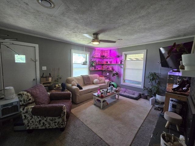 163 Bryan Ave, La Fayette, KY 42254 - carpeted living area featuring a textured ceiling, crown molding, plenty of natural light, and ceiling fan