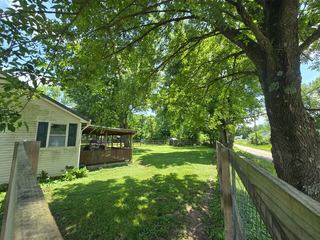 163 Bryan Ave, La Fayette, KY 42254 - view of yard