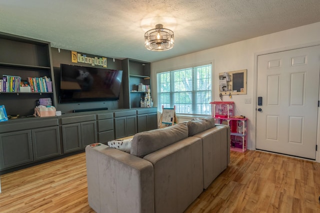 2659 Cave Springs Rd, Springfield, TN 37172 - living area with light wood-style floors and a textured ceiling