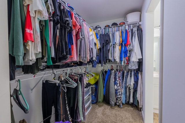 2659 Cave Springs Rd, Springfield, TN 37172 - walk in closet featuring carpet flooring