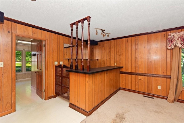 103 Colwell Ln, Manchester, TN 37355 - indoor dry bar featuring wood walls, crown molding, a textured ceiling, and baseboards