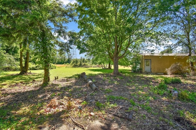 103 Colwell Ln, Manchester, TN 37355 - view of green lawn