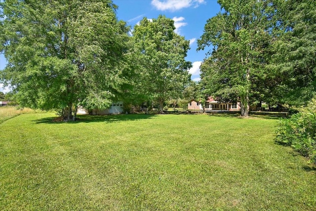 103 Colwell Ln, Manchester, TN 37355 - view of grassy yard