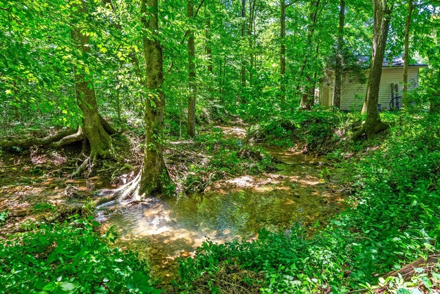 6846 Crooked Creek Rd, Lobelville, TN 37097 - photo 46