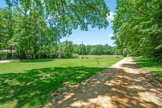 6846 Crooked Creek Rd, Lobelville, TN 37097 - photo 6