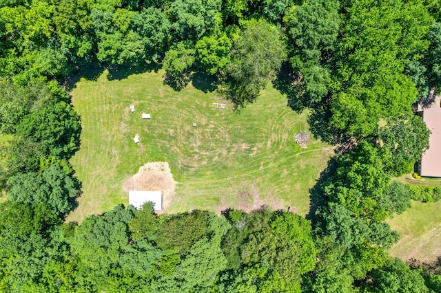 6846 Crooked Creek Rd, Lobelville, TN 37097 - photo 51