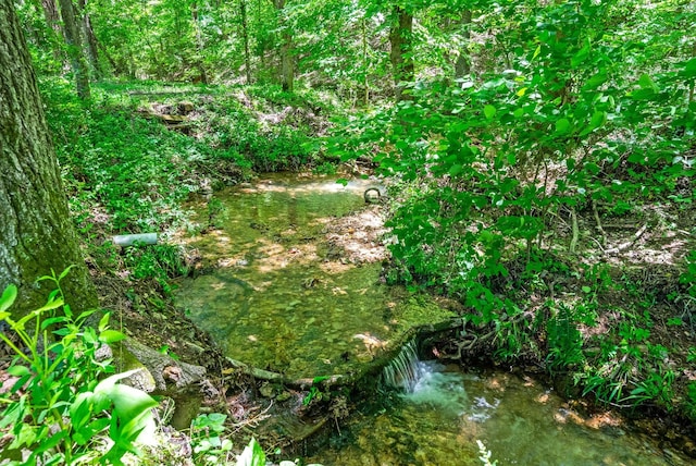 6846 Crooked Creek Rd, Lobelville, TN 37097 - photo 47
