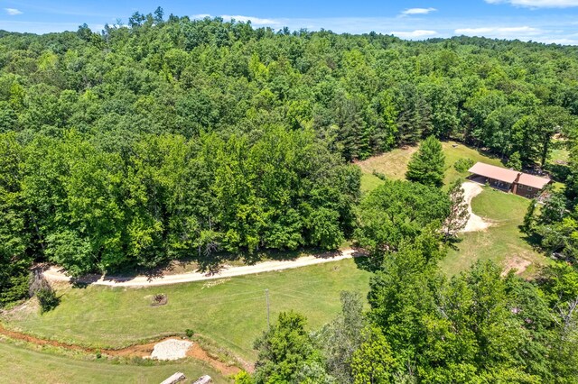 6846 Crooked Creek Rd, Lobelville, TN 37097 - photo 48