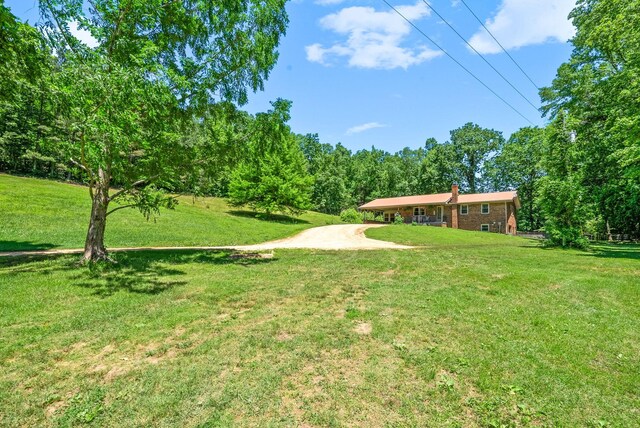 6846 Crooked Creek Rd, Lobelville, TN 37097 - photo 5